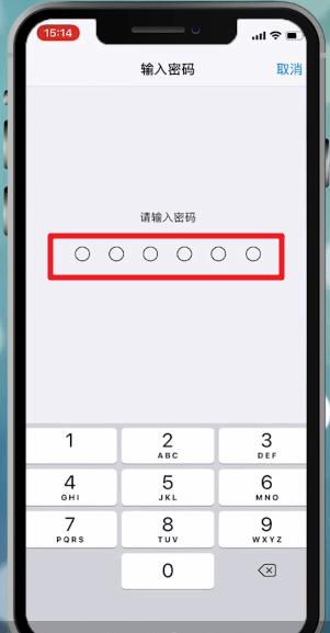 iPhone X中设置面容id的具体操作流程介绍