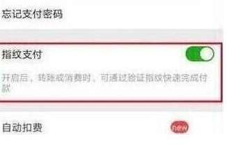 荣耀畅玩8c中设置指纹支付的具体操作步骤