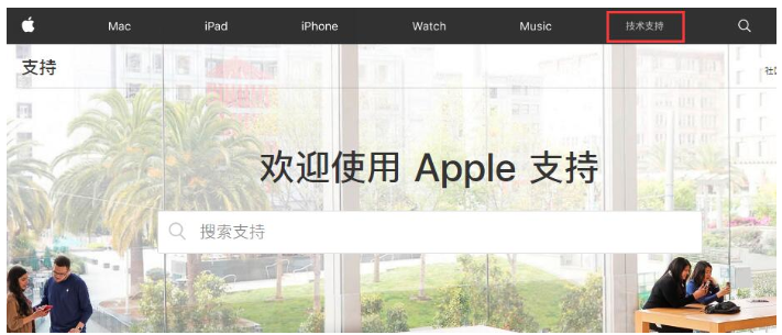 iPhone手机查询维修记录的具体操作步骤