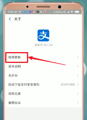 支付宝APP找到更新入口的具体操作步骤