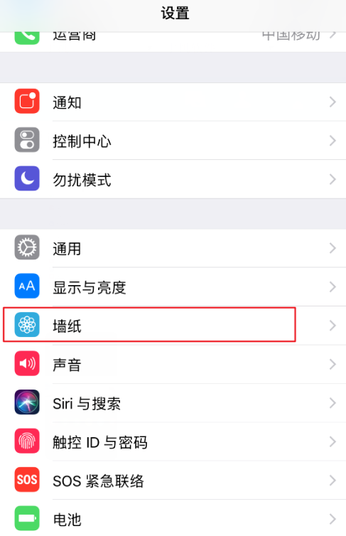 抖音视频设置为iPhone动态壁纸的具体操作方法