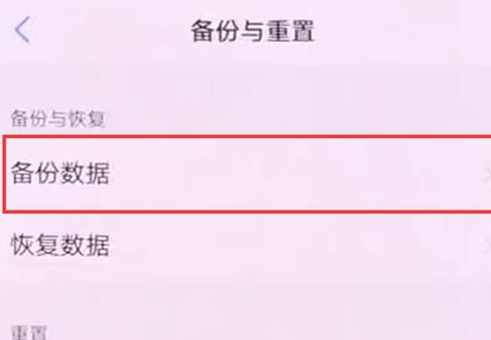 vivonex双屏版中备份的具体操作步骤介绍