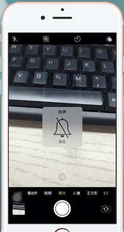 苹果手机中将相机声音关掉的具体操作流程