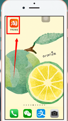 手机淘宝中投诉快递员的具体操作流程