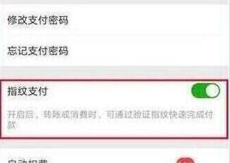 荣耀v20设置微信指纹支付的具体操作步骤