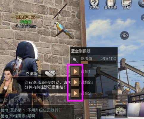 明日之后鹦鹉的正确打开方式