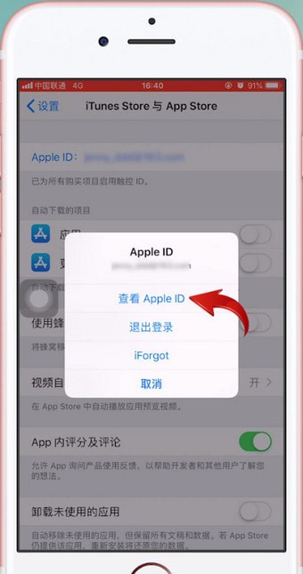 苹果手机中查询充值记录的具体操作方法