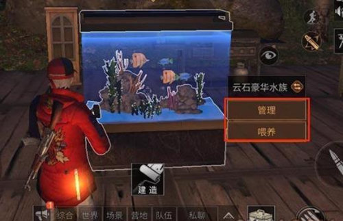 明日之后鱼缸多少钱？水族箱获得方法介绍