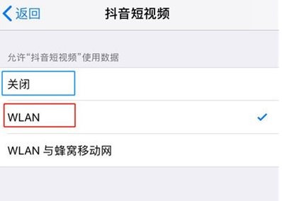 苹果手机中禁止软件使用流量的具体操作步骤