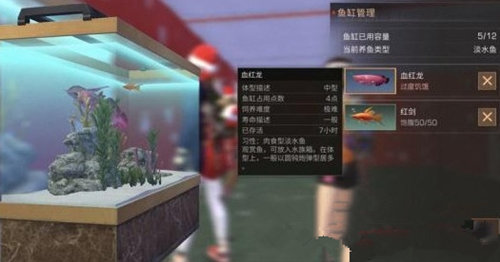 明日之后血红龙自动钓能出吗？血红龙获取攻略