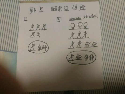 一小时人生野排怎么种田比较好 野排老农攻略