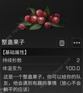 明日之后奇葩道具盘点 有哪些奇葩恶搞道具[多图]图片10