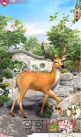 宫廷秘传灵宠怎么获得 灵宠获取方法详情