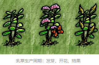 一小时人生绳子怎么做？绳子制作方法