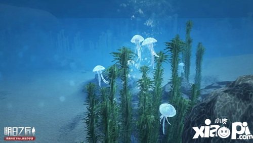 明日之后氧气背包获得攻略