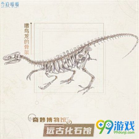 奇迹暖暖奇妙博物馆远古化石馆怎么玩 远古化石馆奖励