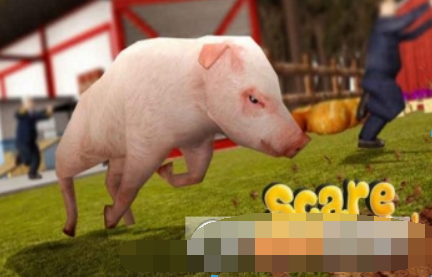 图片.png