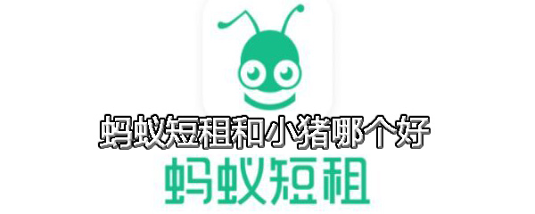蚂蚁短租和小猪哪个好 蚂蚁短租与小猪对比介绍