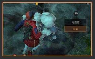 明日之后海蘑菇在哪刷新 明日之后海蘑菇怎么得