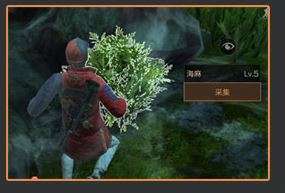 明日之后海麻叶在哪采集 明日之后海麻叶怎么获得