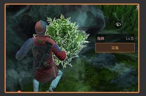 明日之后海麻怎么得 海蘑菇获取方法