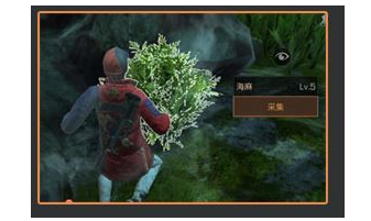 明日之后海麻叶在哪采集 明日之后海麻叶刷新位置一览