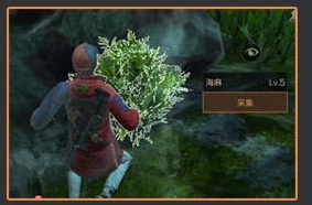 明日之后海麻海蘑菇获得方法