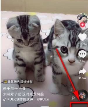 抖音动态封面设置方法介绍 抖音动态封面如何设置