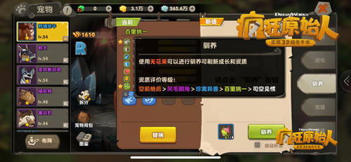 疯狂原始人宠物品质怎么提升？宠物品质提升方法