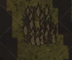 ⁄