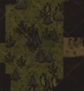 ⁄