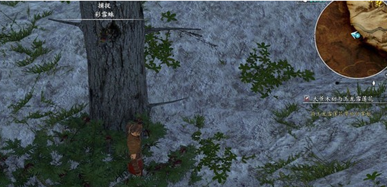 河洛群侠传彩雪蛛坐标位置介绍