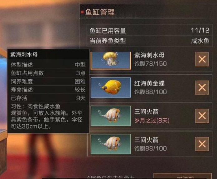 明日之后观赏鱼在哪钓