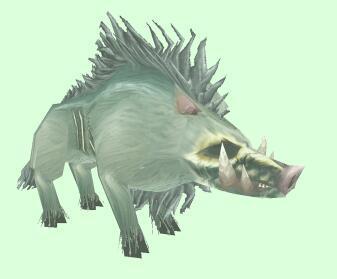 魔兽世界特殊猪宠物汇总