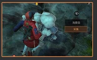 明日之后海蘑菇怎么得？海蘑菇获取方法