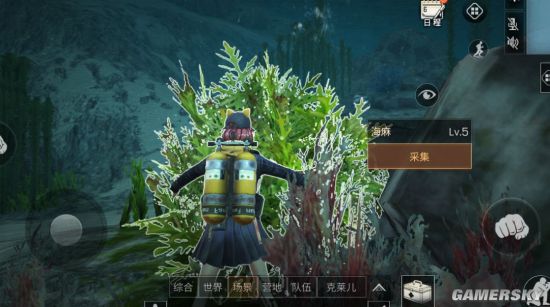 明日之后海洋资源一览 海蘑菇获取方式 采海麻、蘑菇