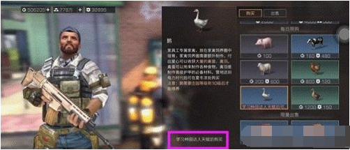 明日之后家禽饲养方法