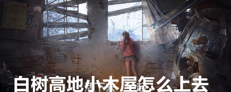 白树高地小木屋怎么上去 白树高地小木屋技巧推荐