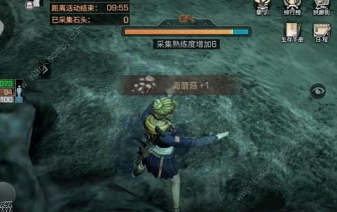 明日之后海蘑菇在哪 海蘑菇位置采集及作用详解[多图]图片5