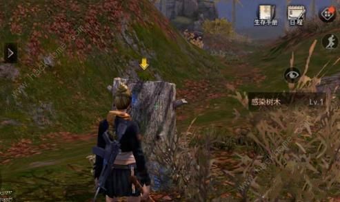 明日之后感染树木在什么地方 感染树木位置及作用详解[多图]图片2