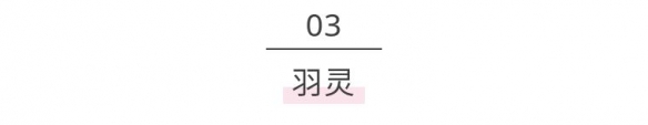 iefans网