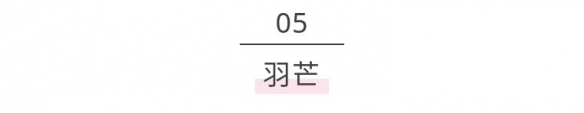 iefans网