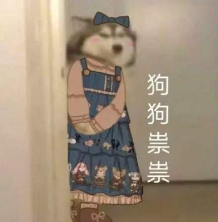 抖音九宫格：狗狗祟祟