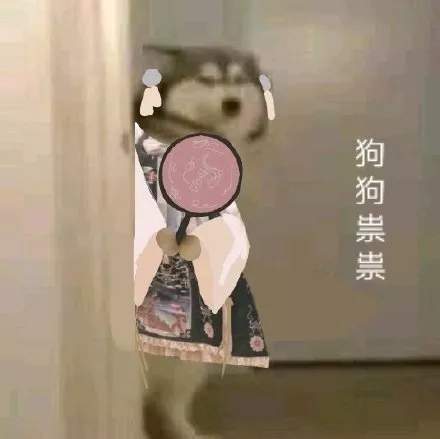 抖音九宫格：狗狗祟祟
