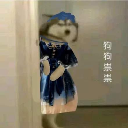 抖音九宫格：狗狗祟祟