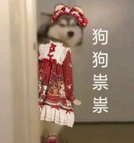 抖音九宫格：狗狗祟祟