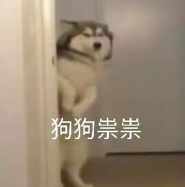 抖音九宫格：狗狗祟祟