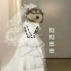 抖音九宫格：狗狗祟祟