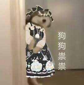 抖音九宫格：狗狗祟祟