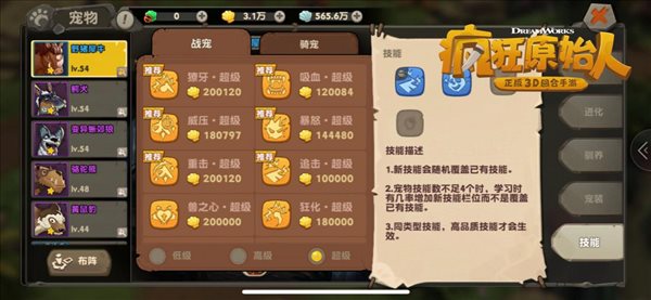 iefans中文网